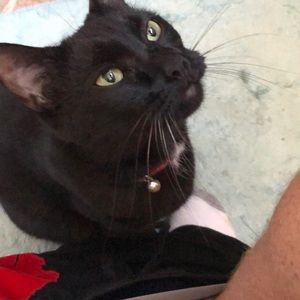 Meet your Posher, Jeffrey